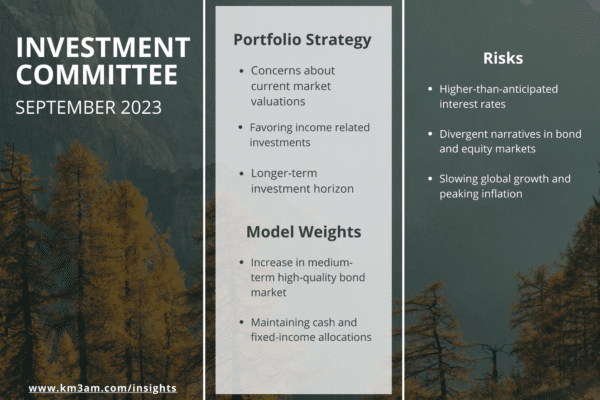 Investment Committee – Simplified